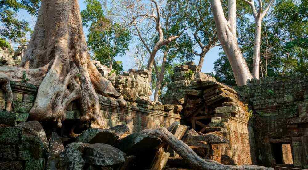 Ta Prohm war ursprünglich als Rajavihara (königlicher Tempel) bekannt und wurde zu Ehren der Familie von König Jayavarman VII. erbaut.