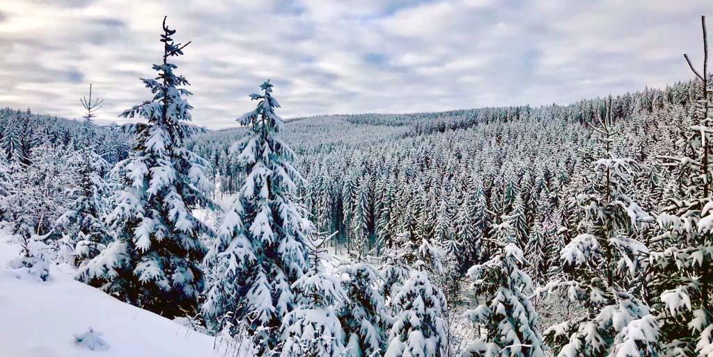Ab in den Schnee: Top-Pistenbedingungen in Kärntner Skigebieten Ab in den Schnee: Top-Pistenbedingungen in Kärntner Skigebieten