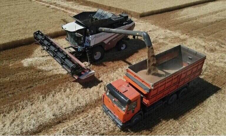 Bittere Ernte in einer durch Russlands Krieg veränderten Weltwirtschaft