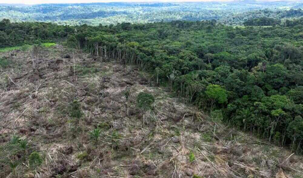 Rekord-Abholzung im brasilianischen Amazonas zeigt die Herausforderung vor der Praesident Lula steht