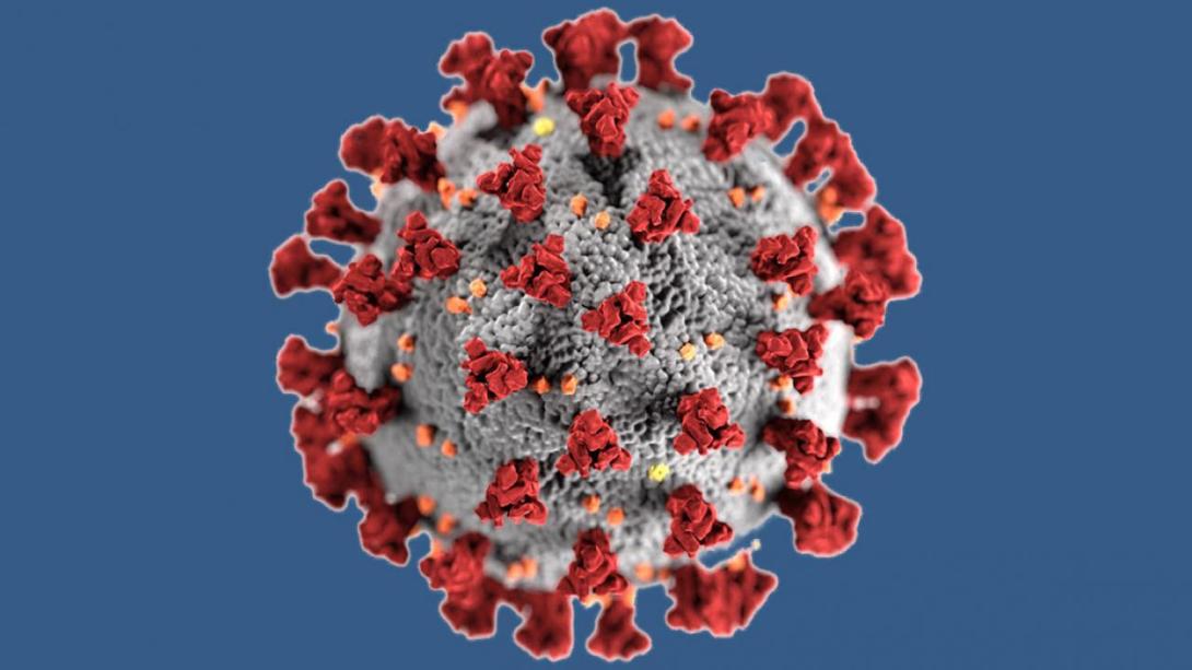 Coronavirus: "Sieben-Tage-Inzidenz in Deutschland derzeit zwischen 1000 und 2000" Coronavirus: "Sieben-Tage-Inzidenz in Deutschland derzeit zwischen 1000 und 2000"