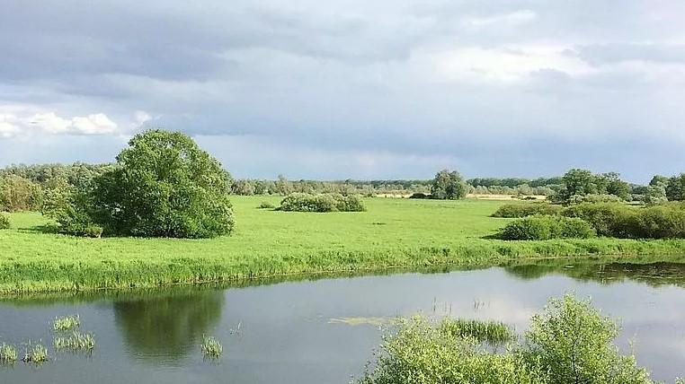 Der Nationalpark Unteres Odertal mit seinen artenreichen Auen erlebt ein Frühlingserwachen