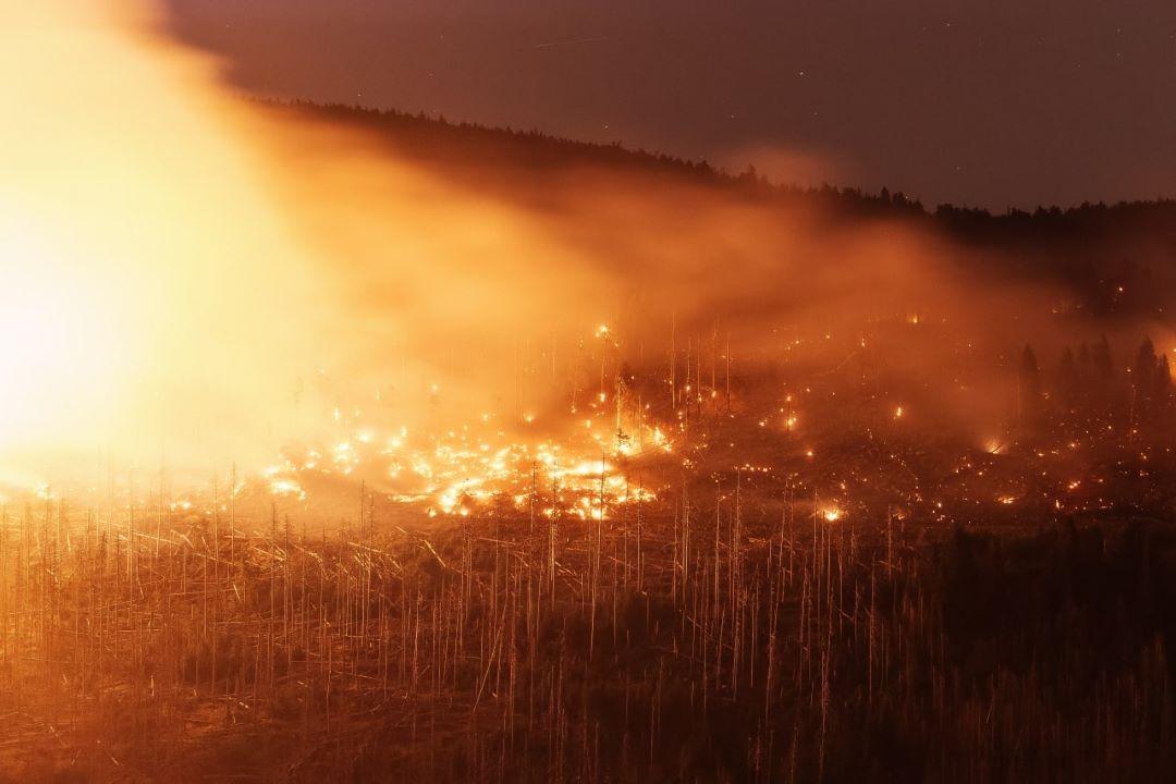 Mit den sommerlichen Temperaturen steigt in Nordrhein-Westfalen die Waldbrandgefahr Mit den sommerlichen Temperaturen steigt in Nordrhein-Westfalen die Waldbrandgefahr