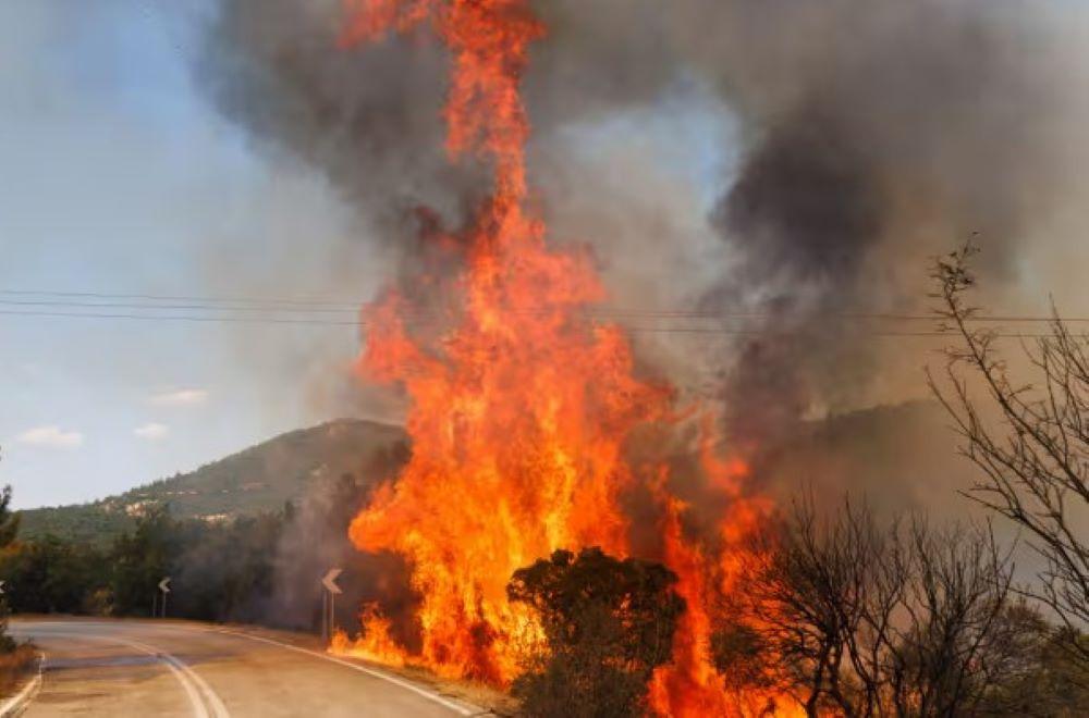 Feuerwehrleute in Griechenland bekämpfen in 48 Stunden mehr als 200 Waldbrände