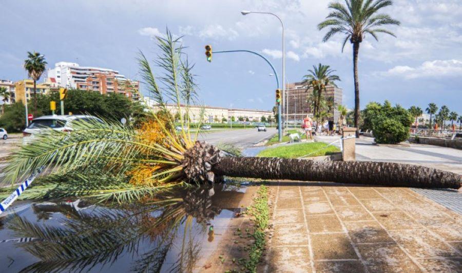 Hunderte von Touristen verbringen Nacht im Flughafen Palma de Mallorca wegen Unwetter