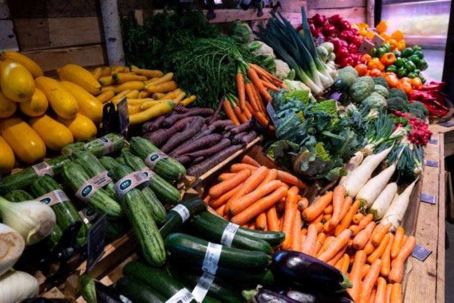 Lebensmittelabfälle bis 2030 halbieren - Verbraucherzentrale regt praktische Änderungen im Supermarkt an