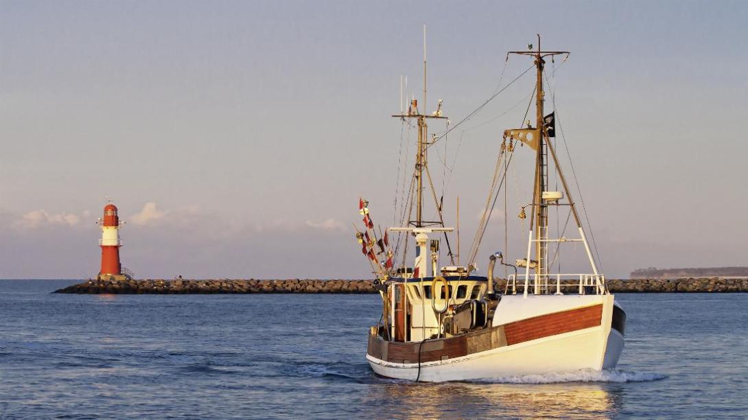 Hohe Preise hemmen den Appetit deutscher Verbraucher von Fisch und Meeresfrüchten