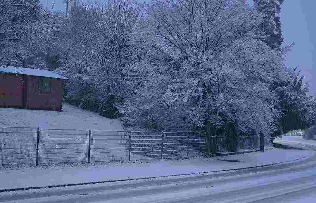 Der erste richtige Wintereinbruch mit Schnee und Eisglätte sorgte auch in Sachsen zu zahlreichen Unfällen