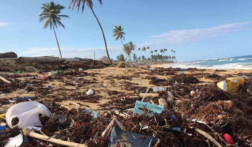 Kritik an Clean-Up-Projekten - Umweltaktivisten fordern Fokus auf Vermeidung der Plastikverschmutzung im Meer