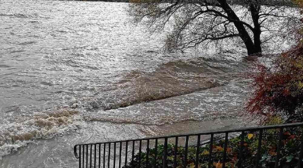 Intensiven Regenfälle, wie hier am Rhein, in den vergangenen Wochen haben landesweit zu einem deutlichen Anstieg der Flusspegel geführt