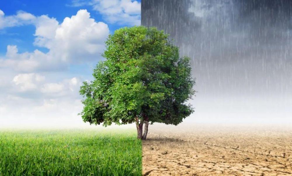 Das Jahr 2023 wird das wärmste Jahr seit Beginn der Industrialisierung. Das gab der EU-Klimawandeldienst Copernicus vor kurzem bekannt. Überall auf der Welt kam es zu Wetterkatastrophen. Im Jahr 2024 könnte das Wetterphänomen El Niño eine Rolle spielen. Ein Jahr der Klimarekorde: 2023 ist geprägt vom Extremwetter