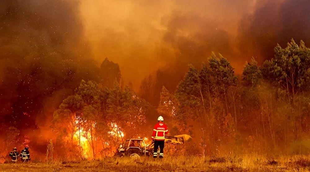 USA im Ausnahmezustand: Hitzewelle und Waldbrände setzen Land unter Druck