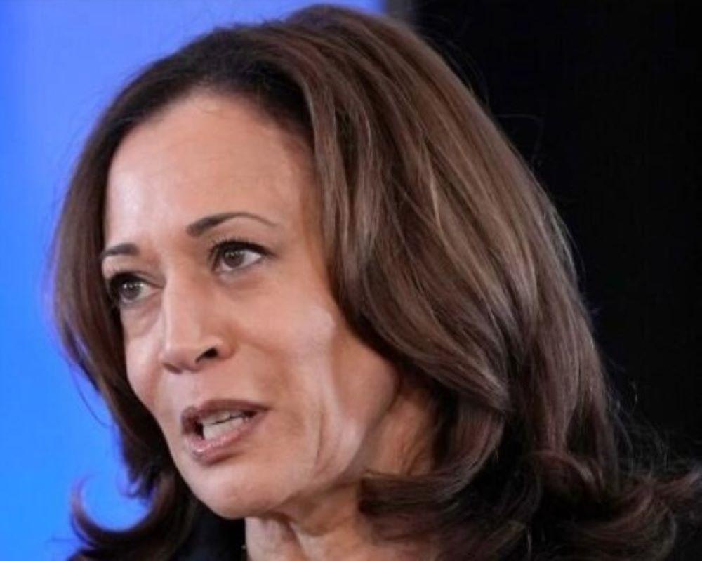 Kamala Harris auf dem Vormarsch: Vizepräsidentin sichert sich Unterstützung als Präsidentschaftskandidatin und Bricht Rekorde bei Spenden